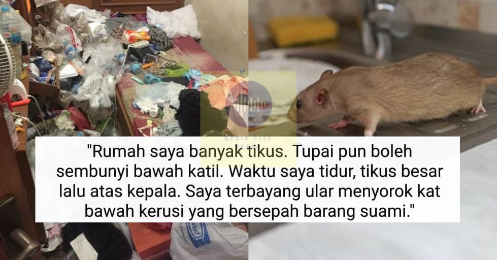 Suami saya sanggup beIa kucing mahal sebab nak rapat dgn jiran 